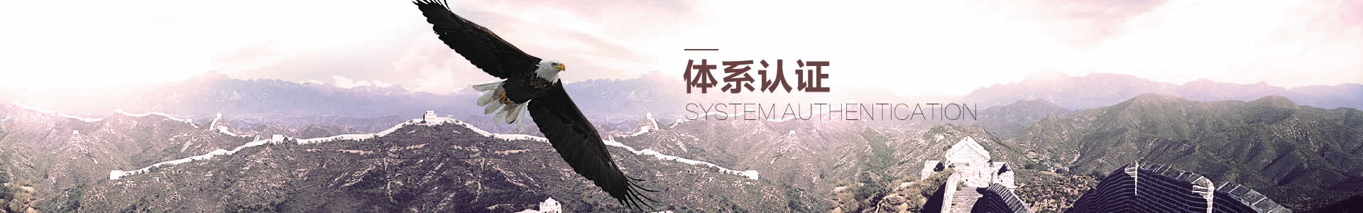 体系认证咨询